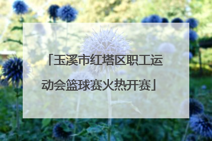 玉溪市红塔区职工运动会篮球赛火热开赛