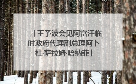 王予波会见阿富汗临时政府代理副总理阿卜杜·萨拉姆·哈纳菲