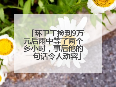 环卫工捡到9万元后雨中等了两个多小时，事后他的一句话令人动容