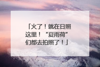 火了！就在日照这里！“夏雨荷”们都去拍照了！