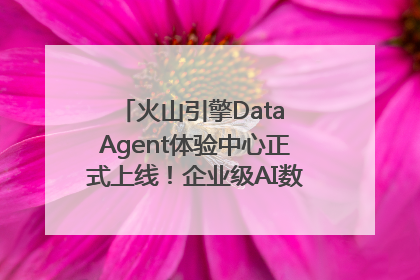 火山引擎Data Agent体验中心正式上线！企业级AI数据专家触手可及