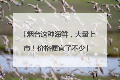 烟台这种海鲜，大量上市！价格便宜了不少