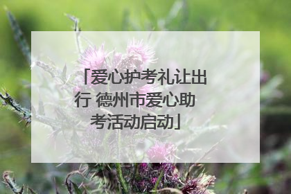 爱心护考礼让出行 德州市爱心助考活动启动