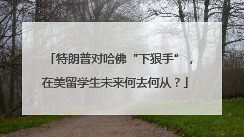 特朗普对哈佛“下狠手”，在美留学生未来何去何从？