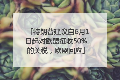 特朗普建议自6月1日起对欧盟征收50%的关税，欧盟回应