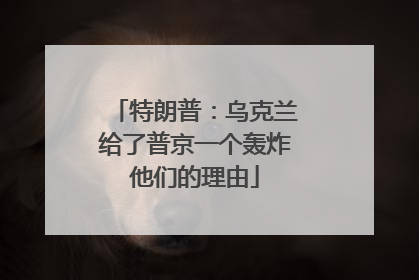 特朗普：乌克兰给了普京一个轰炸他们的理由