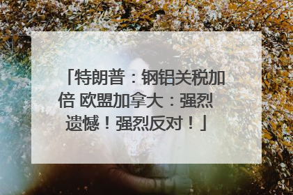 特朗普：钢铝关税加倍 欧盟加拿大：强烈遗憾！强烈反对！