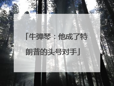 牛弹琴：他成了特朗普的头号对手