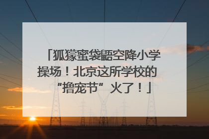 狐獴蜜袋鼯空降小学操场！北京这所学校的“撸宠节”火了！