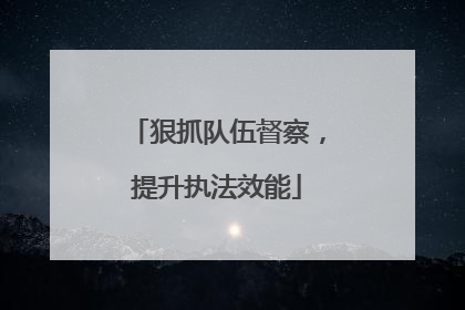 狠抓队伍督察，提升执法效能