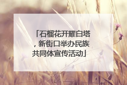 石榴花开耀白塔，新街口举办民族共同体宣传活动