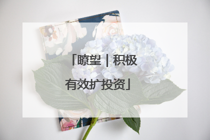 瞭望｜积极有效扩投资
