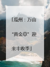 瓜州：万亩“黄金草”迎来丰收季