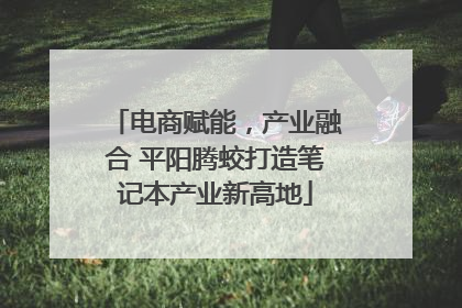 电商赋能，产业融合 平阳腾蛟打造笔记本产业新高地