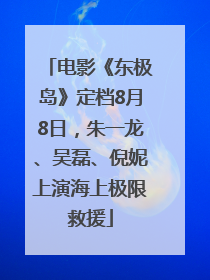 电影《东极岛》定档8月8日，朱一龙、吴磊、倪妮上演海上极限救援