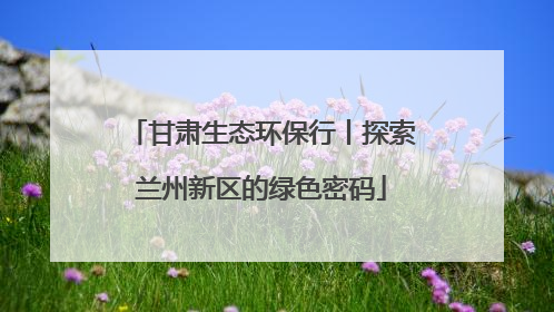甘肃生态环保行丨探索兰州新区的绿色密码