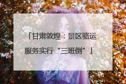甘肃敦煌：景区骆运服务实行“三班倒”