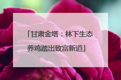 甘肃金塔：林下生态养鸡踏出致富新道