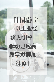 甘肃静宁：以工业经济为引擎 驱动县域高质量发展加速度