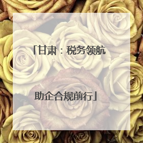 甘肃：税务领航 助企合规前行