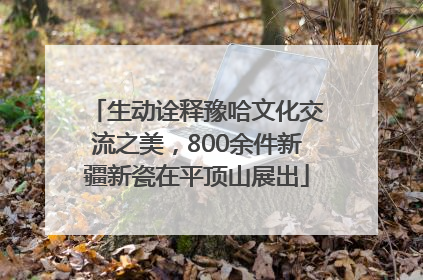 生动诠释豫哈文化交流之美，800余件新疆新瓷在平顶山展出