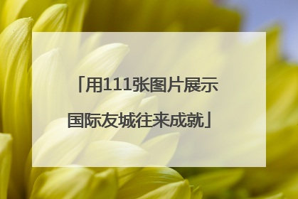 用111张图片展示国际友城往来成就