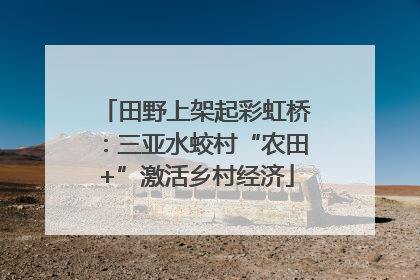 田野上架起彩虹桥：三亚水蛟村“农田+”激活乡村经济