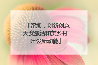 留坝：创新创意大赛激活和美乡村建设新动能