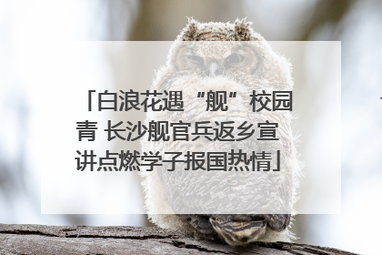 白浪花遇“舰”校园青 长沙舰官兵返乡宣讲点燃学子报国热情