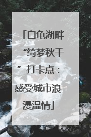 白龟湖畔“绮梦秋千”打卡点：感受城市浪漫温情