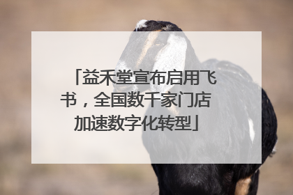 益禾堂宣布启用飞书，全国数千家门店加速数字化转型