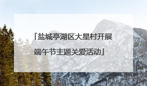 盐城亭湖区大星村开展端午节主题关爱活动