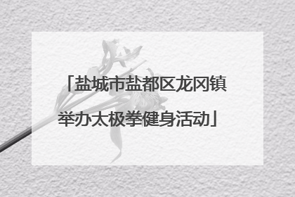 盐城市盐都区龙冈镇举办太极拳健身活动