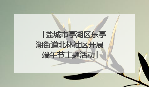 盐城市亭湖区东亭湖街道北林社区开展端午节主题活动