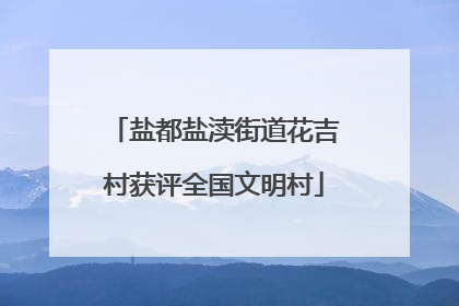 盐都盐渎街道花吉村获评全国文明村