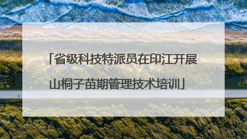 省级科技特派员在印江开展山桐子苗期管理技术培训