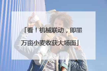 看！机械联动，即墨万亩小麦收获大场面