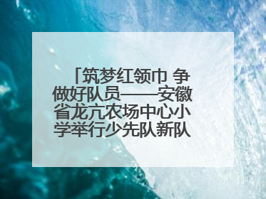 筑梦红领巾 争做好队员——安徽省龙亢农场中心小学举行少先队新队员入队仪式