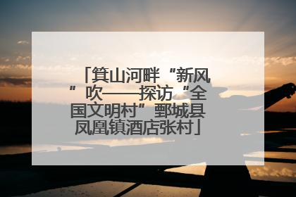 箕山河畔“新风”吹——探访“全国文明村”鄄城县凤凰镇酒店张村