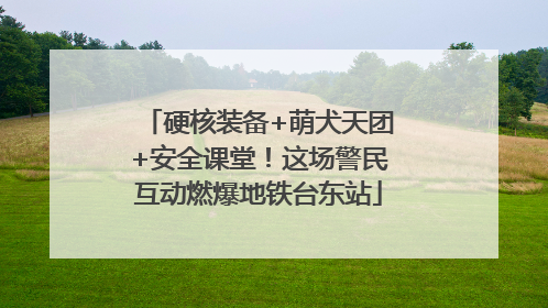 硬核装备+萌犬天团+安全课堂！这场警民互动燃爆地铁台东站