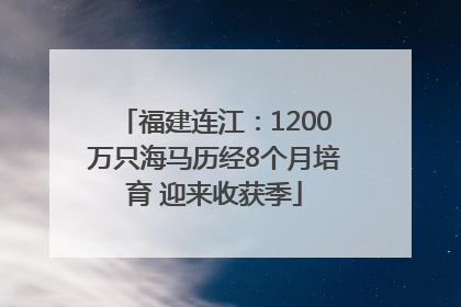 福建连江：1200万只海马历经8个月培育 迎来收获季