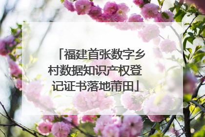 福建首张数字乡村数据知识产权登记证书落地莆田