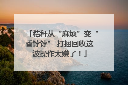 秸秆从“麻烦”变“香饽饽” 打捆回收这波操作太赚了！