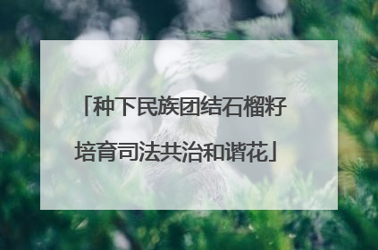 种下民族团结石榴籽 培育司法共治和谐花