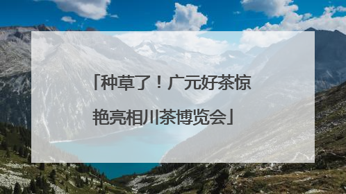 种草了！广元好茶惊艳亮相川茶博览会