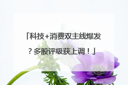 科技+消费双主线爆发？多股评级获上调！