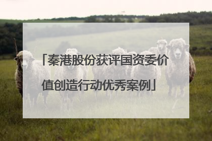 秦港股份获评国资委价值创造行动优秀案例