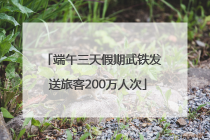 端午三天假期武铁发送旅客200万人次