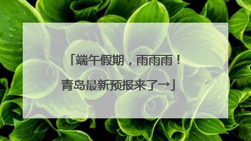 端午假期，雨雨雨！青岛最新预报来了→