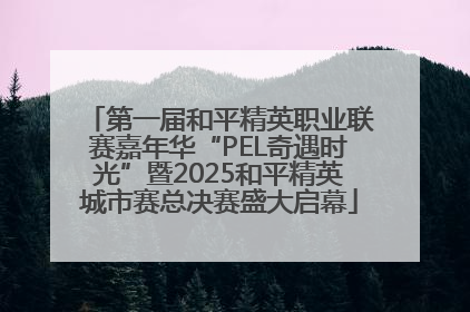 第一届和平精英职业联赛嘉年华“PEL奇遇时光”暨2025和平精英城市赛总决赛盛大启幕